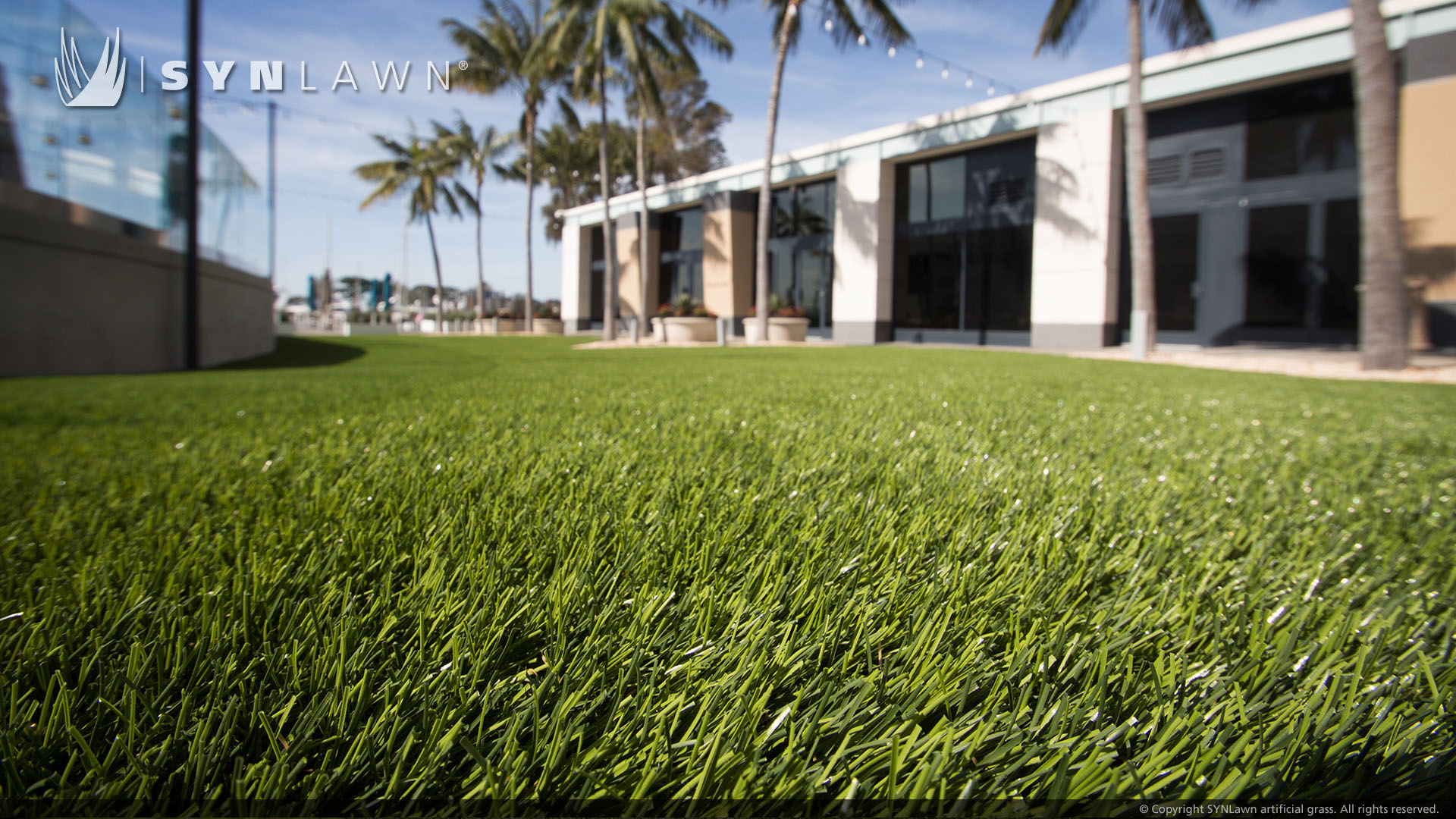 Commercial artificial grass lawn from SYNLawn