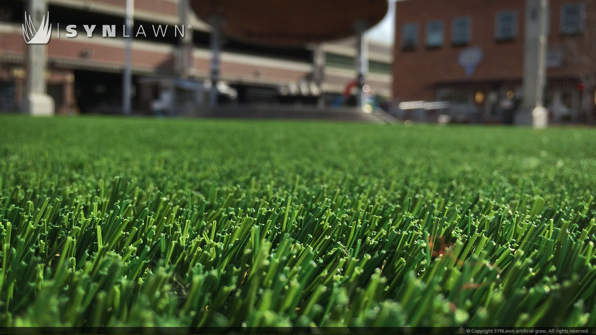 Georgia artificial grass installation