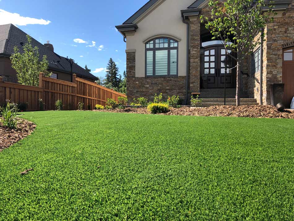 Griffin synthetic grass residential yard