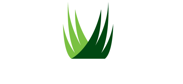 synlawn