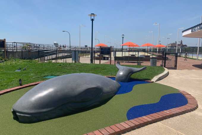 mini-golf-course-with-whale Outdoor mini golf course with whale design