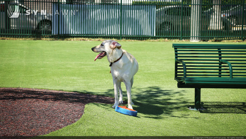 artificial pet turf in Atlanta, GA