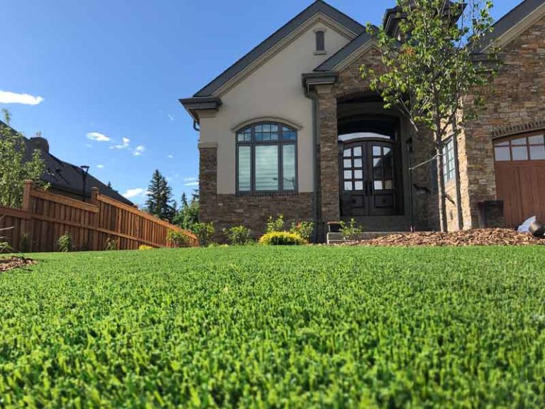 artificial grass in Atlanta, GA