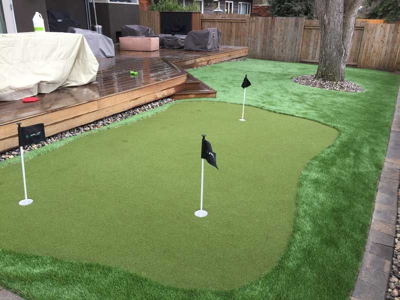 Backyard putting green