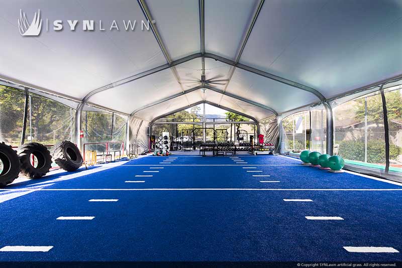 Agility turf in Atlanta, GA 