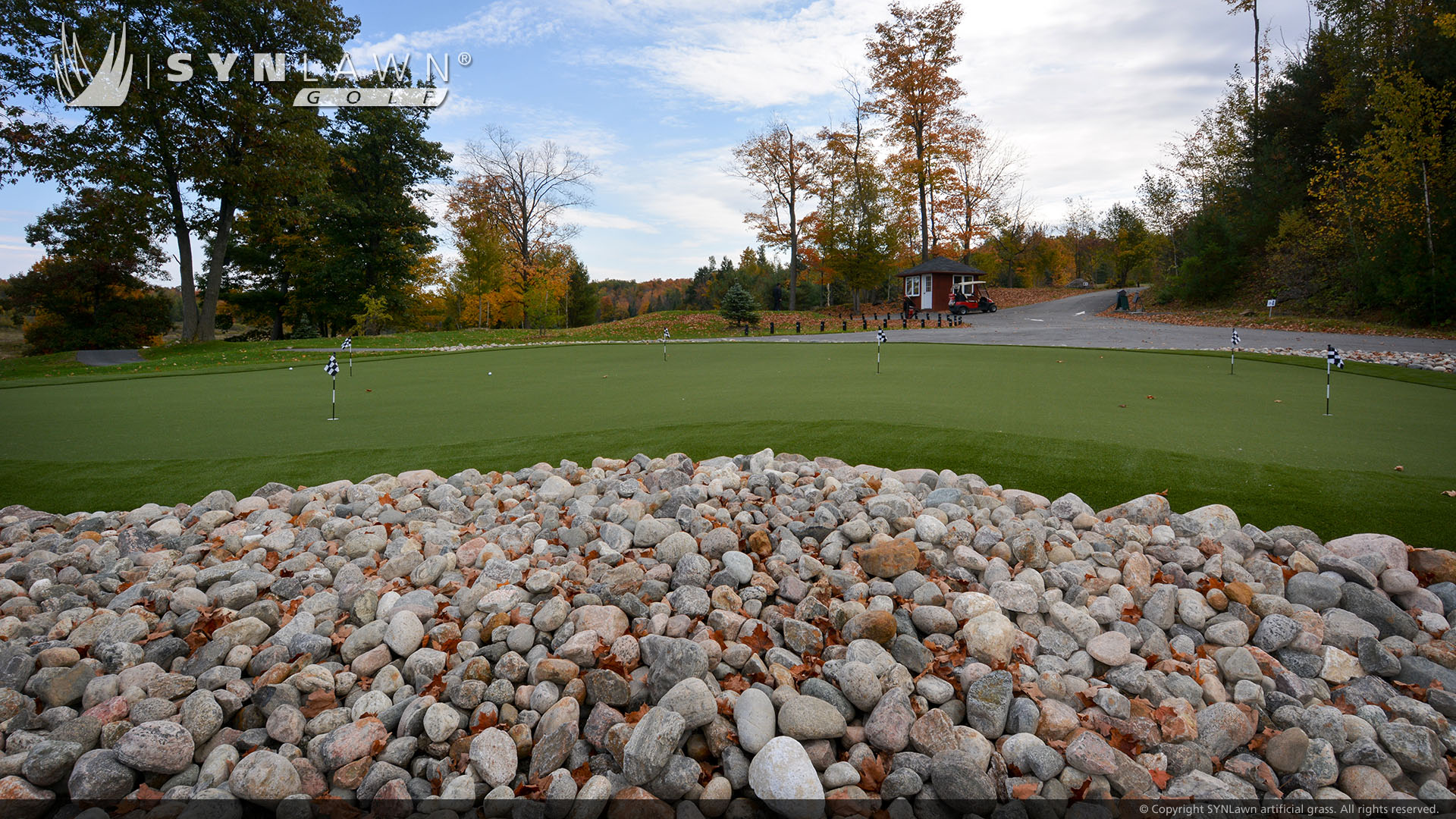 Backyard putting green in Atlanta, GA