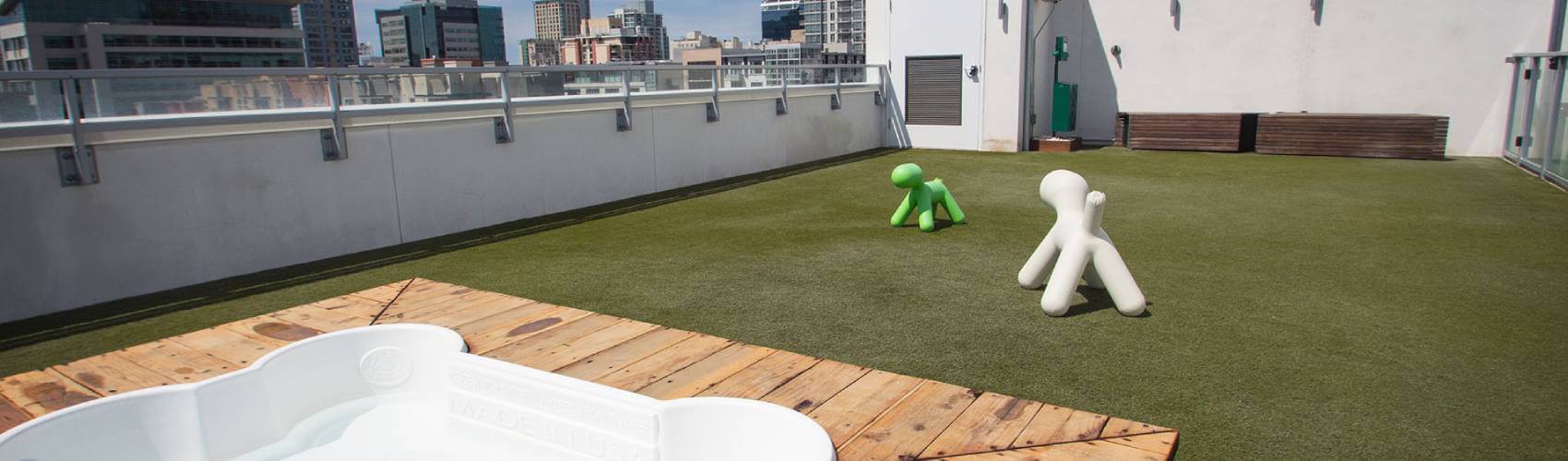 Commercial artificial grass dog park on rooftop