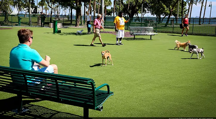 commercial-synlawn-pet-turf-lawn