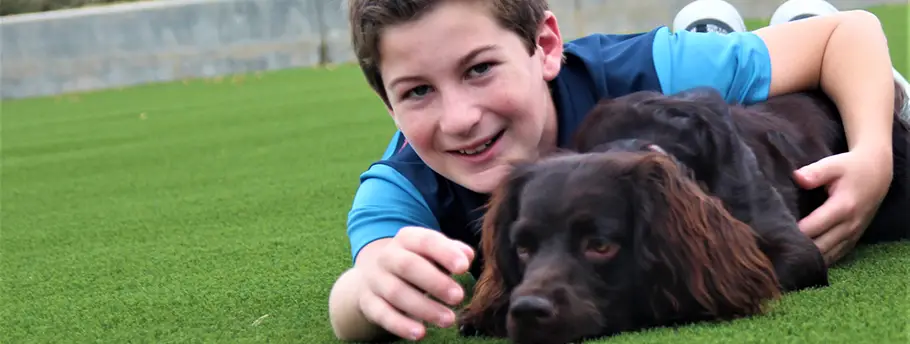 synlawn-ga-pet-turf-1